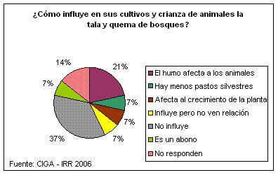 Influencia de la tala y quema en los cultivos