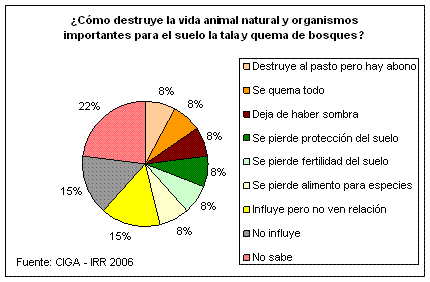 Influencia de la tala y quema en la vida natural