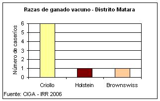 Razas del ganado vacuno