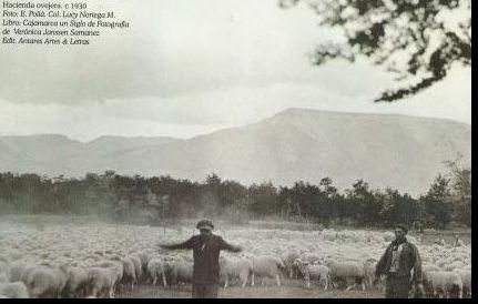 Hacienda ovejera c. 1930