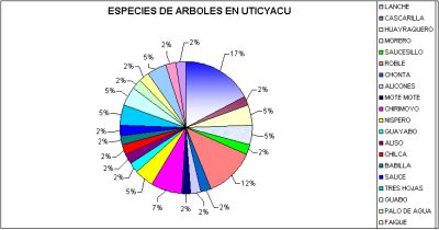 Especies de árboles en Uticyacu