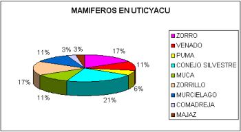 Mamíferos en Uticyacu